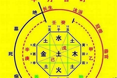 八字天醫|八字神煞天医星，掌管疾病之事的星神！